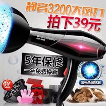 Pet water blower High power silent dog hair dryer Golden Retriever Teddy Cat hair dryer dryer