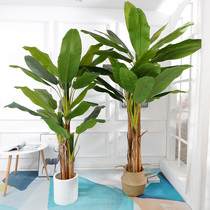 Nordic large-scale simulation plant plantain green plant fake leaf living room floor-to-ceiling tree decoration courtyard large-leaf plastic potted plant