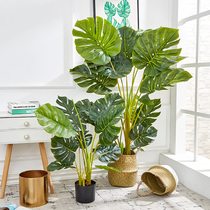 Simulation turtle leaf plant ins Nordic plant potted indoor decoration fake green plant decoration home living room decoration