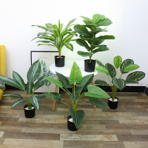 Nordic simulation plant living room interior flower decoration bedroom creative fake green plant potted ornaments ins Net red bonsai