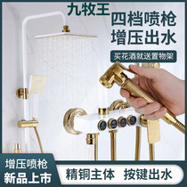 Shower set household all copper faucet bathroom shower shower shower head set bright and dark