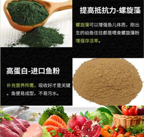 Fish Food small fish lantern fish Peacock fish fighting fish watch the back medaka particles red red spirulina feed water flea