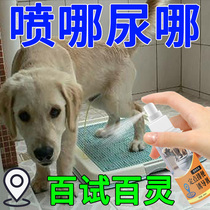 Pooch Toilet Inducers Bowels Positioning Training Dogs Upper Toilet Guide Dogs Urine Dogs Pull Poop-Inducing Agents