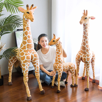 Cute giraffe plush toy fawn doll Big Doll friend high-end birthday gift living room decoration