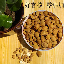 Chengde specialty big flat apricot kernel farm wild sweet almonds Zero addition raw fresh original shell snack nuts