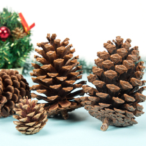 Pine fruit ornaments handmade diy material crafts dried fruit decoration pine Tower dried flower branches Pine Tree Tower props making