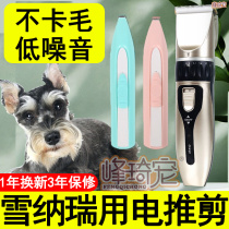 Snownery special electric shaving machine full set of dogs reflexology Soles Electric Pushcut Pushers Professional Razors Silent no Kings