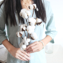 Natural Xinjiang Cotton Dry Flower Real Flower Prop Wedding Celebration Home Decoration Furnishing Wood Cotton Dry Branches Fake Bouquet Pendulum Pieces