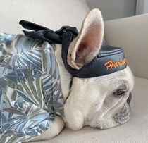 Fadou hat hat pet dog hat photo props pet dog headdress
