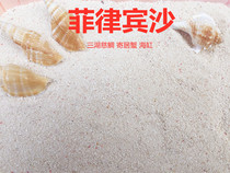 Natural fish tank bottom sand Shell sand Coral sand Sea sand Philippine sand fish tank landscape decoration Cichlid hermit crab sand