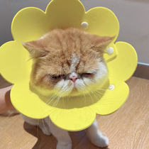Sun Flower Elizabeth Circle felt light and thin headgear kitty Puppy dog collar Anti-lick Stigma Circle Neuter Collar Neuter Collar Neuter