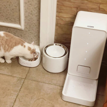 petkit little pepe smart water dispenser second generation Solo pet cat drinking water automatic cycle kitty dog