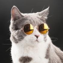 Handsome to no friends pet cat glasses cat sunglasses decoration sun glasses personality trend master accessories