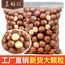 (Send fruit opener) Hawaiian fruit 1kg cream dried fruit nut snacks big gift bag 60g