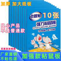 Rat Stick Powerful Sticky Rat Board Powerful adhesive Large Mouse Big Mouse stickup with super powerful patch folding home Business