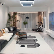 Nordic Carpet Living Room Sofa Tea Table Mat Moroccan Bedroom Plush Bed Edge Earth Cushion Thickened Balcony Floating Window Blanket