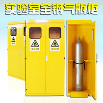 Laboratory gas bottle cabinet single bottle safety cabinet gas cylinder storage cabinet factory all steel double cylinder cabinet