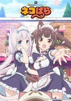 2020 mainland release cat Garden (another name) DVD
