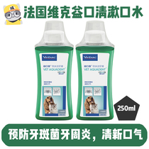 Cat worry-free spot French Vic cat with mouthwash to prevent plaque fungus periodontitis 250ml