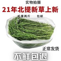 21-year new drying Beittimothy pasture section rabbit Chinchow pig grain Super feed 1kg