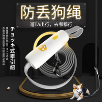 Japanese Pet Supplies Explosion-proof Dogs Traction Rope Small & Medium Dog Elastic Dog Rope Tethered Dog Walking Dog God Instrumental Chain