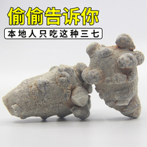 Yunnan Wenshan Panax notoginseng super grade Panax notoginseng grows 20 heads in 4 years 500 grams of ultra-fine powder Tianqi powder official