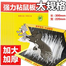 10 strong sticky mouse board rat paste rat paste rat kill rat catch rat artifact glue device glue home a nest end