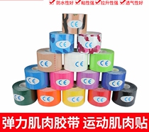 Professional intramuscular effect patch tape elastic sports bandage tape muscle sticker ski muscle sticker antifreeze sticker