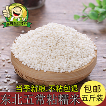 2020 Northeast glutinous rice 5 kg bulk farmers produce Jiangmi round glutinous rice bag dumplings raw materials dumplings rice sticky rice