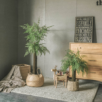 Simulated plant bonsai green plant Nordic style fake jujue tree small potted Net Red indoor living room home decoration ornaments