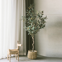 Simulation plant decorative oil olive tree potted fake green plant indoor lollipop simulation tree Norse simple wind fake tree