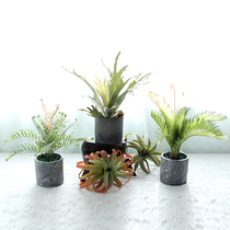 Nordic ins green plant simulation plant small potted living room home artificial flower bonsai desktop fleshy ornaments