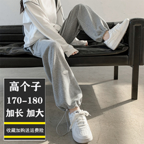 Tall gray sweatpants womens spring and autumn casual wide leg pants autumn loose toe straight pants extended trousers