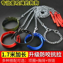 Dog traction rope Chain Teddy Golden Retriever Walking rope Dog chain Small medium large dog collar Pet supplies