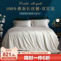 Boyo silk quilted by 100% Double Palace cocoon mulberry silk quilted by a thin quilt by the core pure cotton air conditioning by the spring autumn