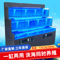 Seafood pool Fresh supermarket Restaurant fish pond Aquaculture tank Shellfish mobile seafood fish tank Commercial seafood tank