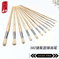Elysees Hall 582 Brush Round Head Chalk Acrylic Oil Painting Pigment Bristle Bristle Pen Set Beginner Pen