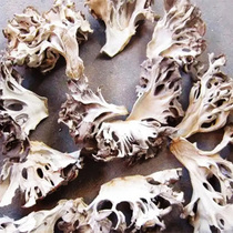 Grey Tree Flowers Dry Goods 500 gr No Sediment Ash Tree Mushrooms Dancing Tea Chrysanthemum Fungus Chestnut Mushroom Yunnan Mushroom Specii