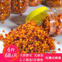Seabuckthorn fruit fresh fruit special offer Shanxi specialty Luliangshan vinegar willow fruit juice flour enzyme 6kg