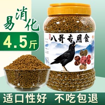 8-Gothic Feed Feed Wren Bird Feed Bird Feed Waggi 8 Gothic Exclusive Bird Food Feed Nutritious Natural Grain 4 5 kilos