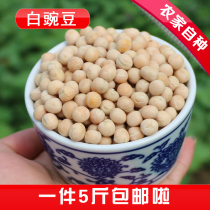 Special offers Pea farmers grow their own specialties White pea raw pea dried pea grains Cold beans Wheat beans