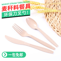 Disposable fork individually packaged salad take-out commercial knife spoon straw material environmentally friendly tableware fruit fork