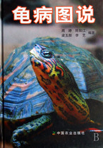 Turtle disease diagram (essence)