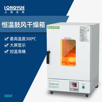 Shanghai Longyue electric constant temperature blast drying oven laboratory industrial oven size oven DHG series