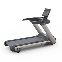 Shu Hua X9 V9 luxury commercial treadmill large electric mute gym special fitness equipment SH-8919