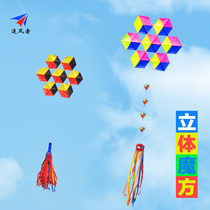 Kite Wind Chaser kite three-dimensional hollow cube kite with tail breeze kite umbrella cloth nationwide