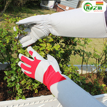 Rose stab-proof gloves gardening pruning protective gear pulling grass anti-pruning planting thickened flower pruning tool