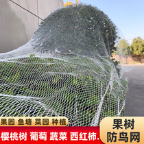 Net pond orchard fruit tree deciduous grape household gauze plant bracket balcony cover tree mesh yarn