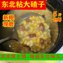 Northeast sticky corn dumplings five kilograms of large ballast porridge combination fresh glutinous corn grains sticky corn grains non-genetically modified