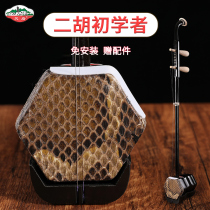 Suzhou Lingyan Erhu large volume beginner introduction Huqin adult children elderly professional practice factory direct sales